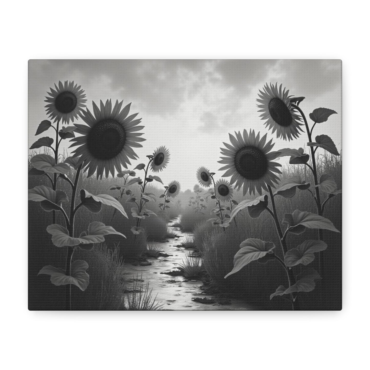 Canvas Print Sunflower Field Black and White Portrait